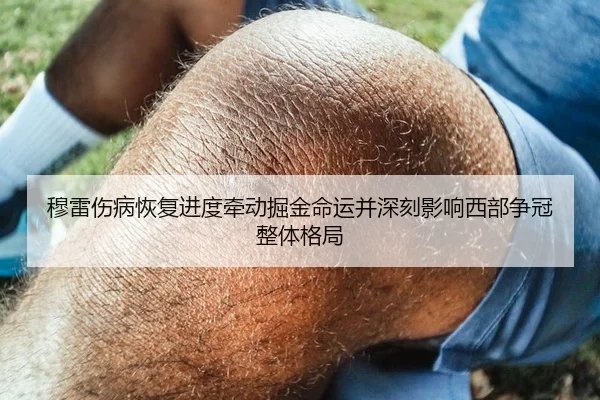 穆雷伤病恢复进度牵动掘金命运并深刻影响西部争冠整体格局