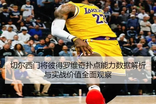 切尔西门将彼得罗维奇扑点能力数据解析与实战价值全面观察
