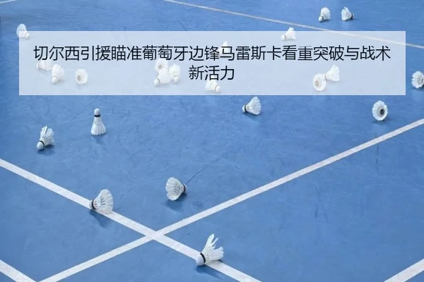 切尔西引援瞄准葡萄牙边锋马雷斯卡看重突破与战术新活力