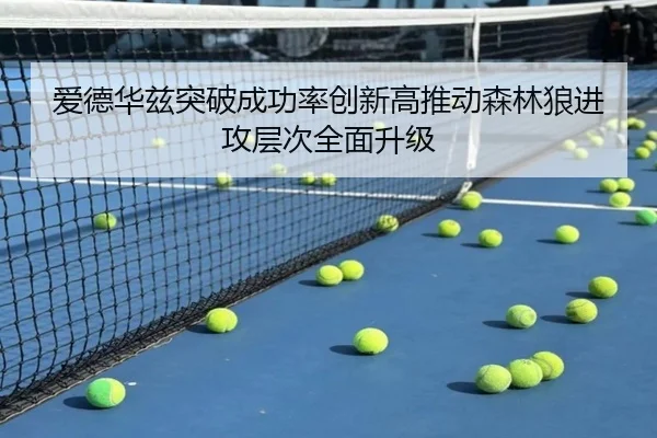 爱德华兹突破成功率创新高推动森林狼进攻层次全面升级